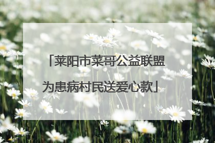 莱阳市菜哥公益联盟为患病村民送爱心款