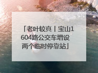 老叶较真丨宝山1604路公交车增设两个临时停靠站