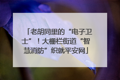 老胡同里的“电子卫士”！大栅栏街道“智慧消防”织就平安网