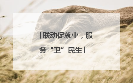 联动促就业，服务“卫”民生