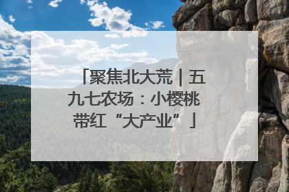 聚焦北大荒｜五九七农场：小樱桃带红“大产业”