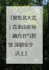 聚焦北大荒｜青龙山农场：融合节气智慧 深耕安全沃土