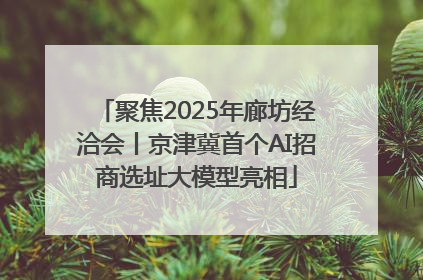 聚焦2025年廊坊经洽会丨京津冀首个AI招商选址大模型亮相