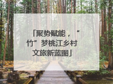 聚势赋能，“竹”梦桃江乡村文旅新蓝图