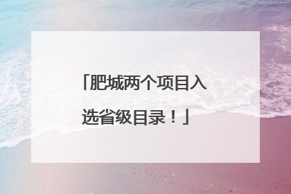 肥城两个项目入选省级目录！