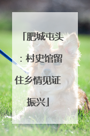 肥城屯头：村史馆留住乡情见证振兴