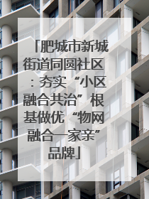 肥城市新城街道同圆社区：夯实“小区融合共治”根基做优“物网融合一家亲”品牌