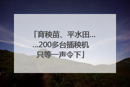 育秧苗、平水田……200多台插秧机只等一声令下