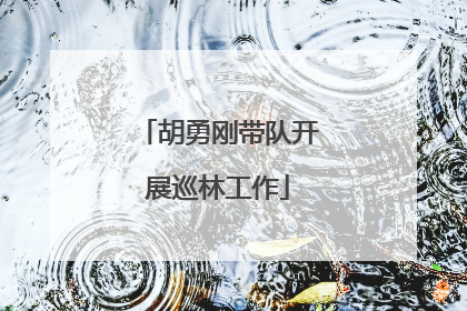 胡勇刚带队开展巡林工作