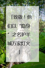 致敬！他们以“隐身”之名护羊城万家灯火
