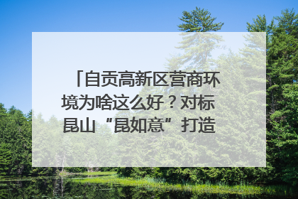 自贡高新区营商环境为啥这么好？对标昆山“昆如意”打造自贡“高兴办”｜美好生活有“盐”味
