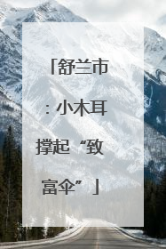 舒兰市：小木耳撑起“致富伞”