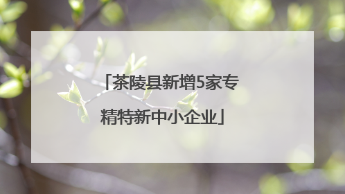 茶陵县新增5家专精特新中小企业