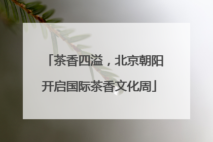 茶香四溢，北京朝阳开启国际茶香文化周