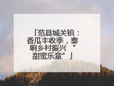 范县城关镇：香瓜丰收季，奏响乡村振兴 “甜蜜乐章”