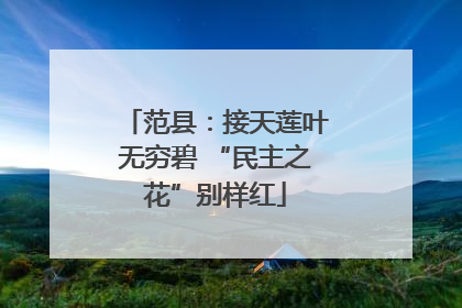 范县：接天莲叶无穷碧 “民主之花”别样红