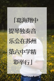 葛海翔中提琴独奏音乐会在苏州第六中学精彩举行