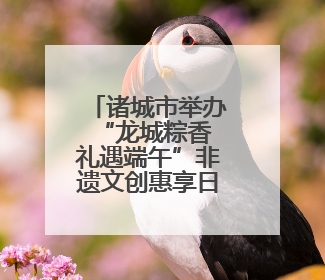 诸城市举办“龙城粽香 礼遇端午”非遗文创惠享日活动