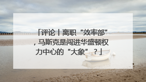 评论丨离职“效率部”，马斯克是闯进华盛顿权力中心的“大象”？