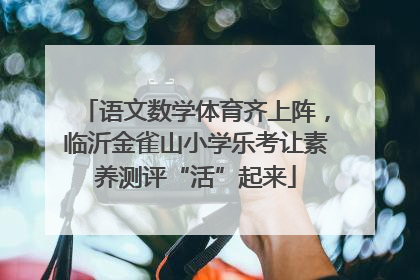 语文数学体育齐上阵，临沂金雀山小学乐考让素养测评“活”起来