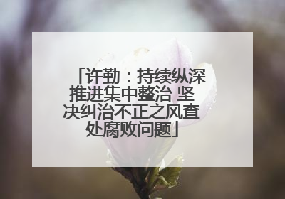 许勤：持续纵深推进集中整治 坚决纠治不正之风查处腐败问题