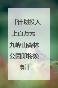 计划投入上百万元 九峰山森林公园即将焕新
