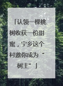 认领一棵桃树收获一份甜蜜，宁乡这个村邀你成为“树主”