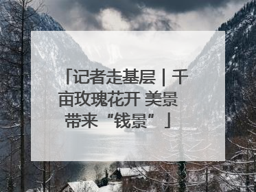 记者走基层｜千亩玫瑰花开 美景带来“钱景”