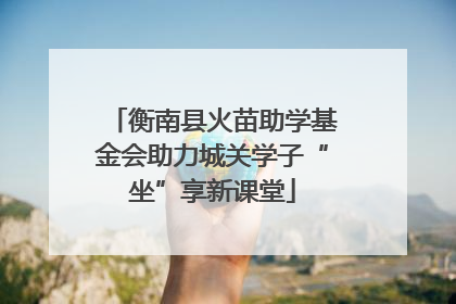 衡南县火苗助学基金会助力城关学子“坐”享新课堂