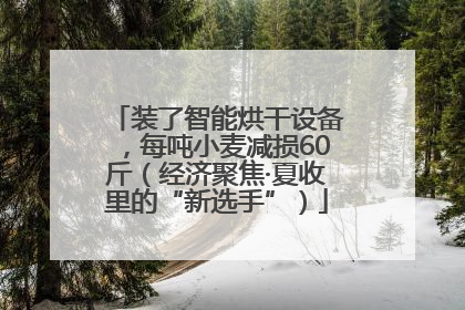 装了智能烘干设备，每吨小麦减损60斤（经济聚焦·夏收里的“新选手”）