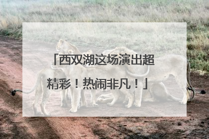 西双湖这场演出超精彩！热闹非凡！