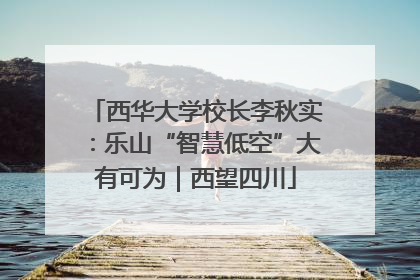 西华大学校长李秋实：乐山“智慧低空”大有可为｜西望四川