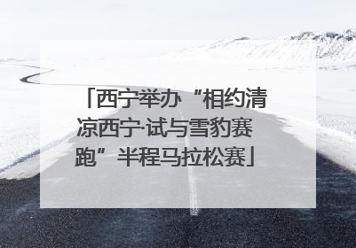 西宁举办“相约清凉西宁·试与雪豹赛跑”半程马拉松赛