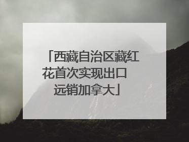 西藏自治区藏红花首次实现出口 远销加拿大