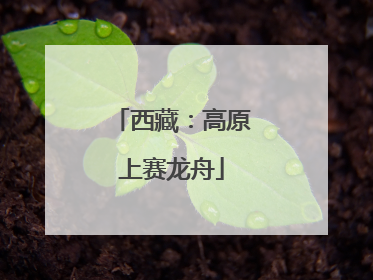 西藏：高原上赛龙舟