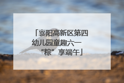 襄阳高新区第四幼儿园童趣六一 “粽”享端午