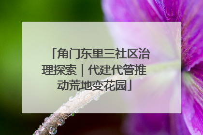 角门东里三社区治理探索｜代建代管推动荒地变花园