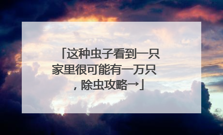 这种虫子看到一只家里很可能有一万只，除虫攻略→