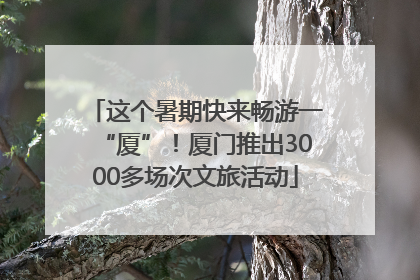这个暑期快来畅游一“厦”！厦门推出3000多场次文旅活动