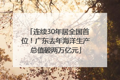连续30年居全国首位！广东去年海洋生产总值破两万亿元