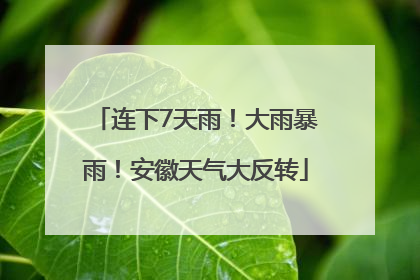 连下7天雨！大雨暴雨！安徽天气大反转