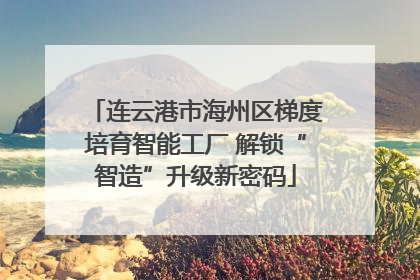 连云港市海州区梯度培育智能工厂 解锁“智造”升级新密码