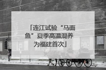 连江试验“马面鱼”夏季高温混养 为福建首次