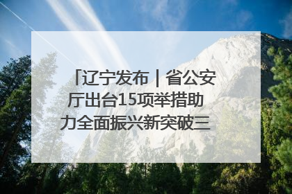 辽宁发布｜省公安厅出台15项举措助力全面振兴新突破三年行动决胜之战