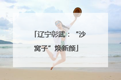 辽宁彰武：“沙窝子”焕新颜