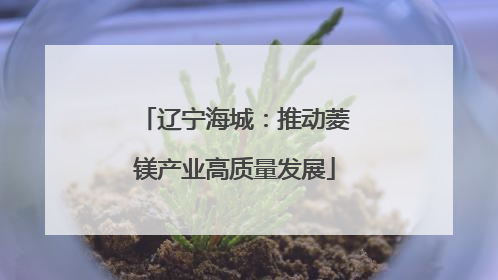 辽宁海城：推动菱镁产业高质量发展