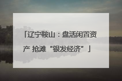 辽宁鞍山：盘活闲置资产 抢滩“银发经济”