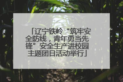 辽宁铁岭“筑牢安全防线，青年勇当先锋”安全生产进校园主题团日活动举行