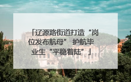 辽源路街道打造“岗位发布航母” 护航毕业生“平稳着陆”