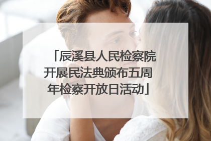 辰溪县人民检察院开展民法典颁布五周年检察开放日活动